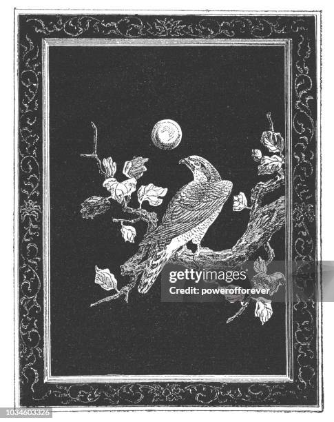 ancient japanese black lacquer panel of a falcon - falcon stock illustrations