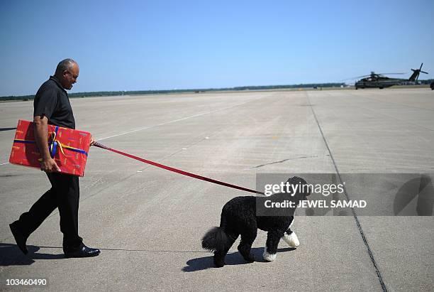 White House staff walks First Dog "Bo" as President Barack Obama lands at the Cape Cod Coast Guard Air Station in Cape Cod, Massachusetts, on August...