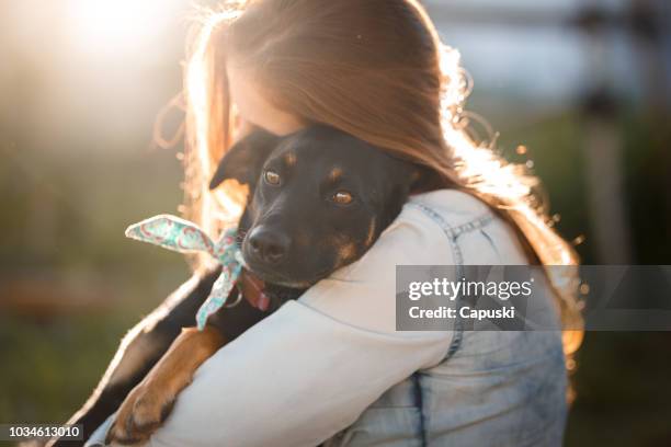fille embrassant son chien - adoption photos et images de collection