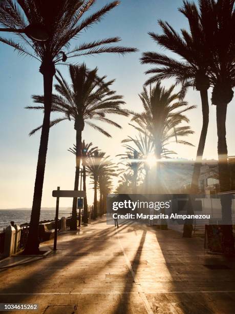 magic hour at the beach walk of marbella - marbella 個照片及圖片檔