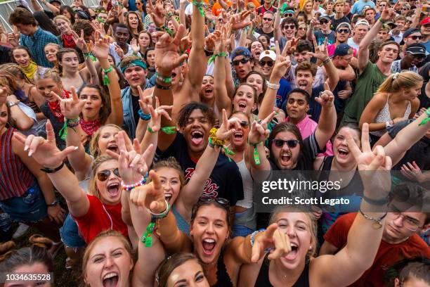 General view during Day 2 of Music Midtown Festival at Piedmont Park on September 16, 2018 in Atlanta, Georgia.