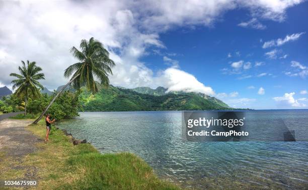 fotograferen van opunohu bay - windward islands stockfoto's en -beelden