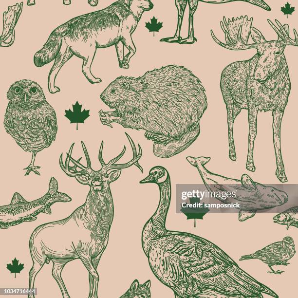 stockillustraties, clipart, cartoons en iconen met canadiana wildlife naadloze patroon - holenuil