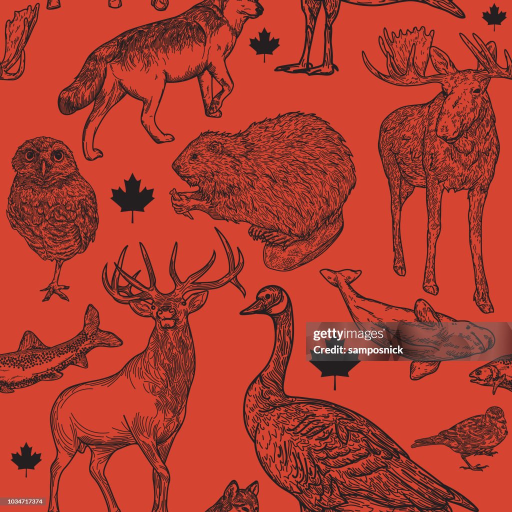 Canadiana Wildlife Seamless Pattern