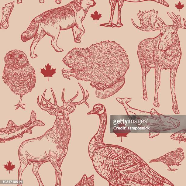 canadiana wildlife seamless pattern - animal wildlife stock illustrations