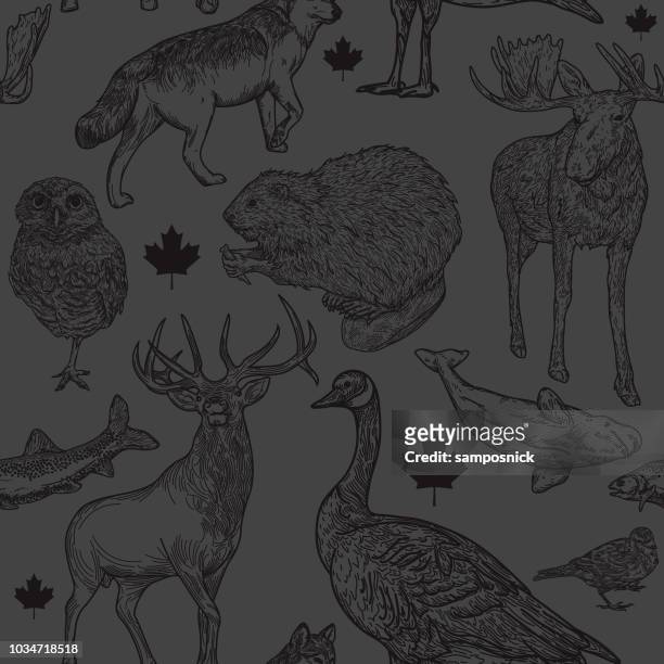 canadiana wildlife seamless pattern - beaver isolated stock illustrations