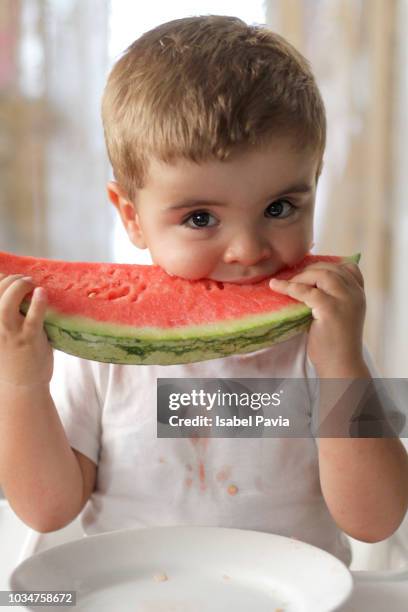 toodler boy eating watermelon - toodler fotografías e imágenes de stock