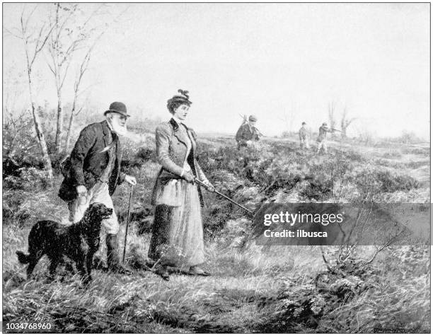ilustraciones, imágenes clip art, dibujos animados e iconos de stock de antigua ilustración pintura: caza de pareja - perro de caza
