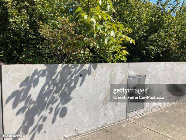 shadow on the wall - shadow wall stock-fotos und bilder