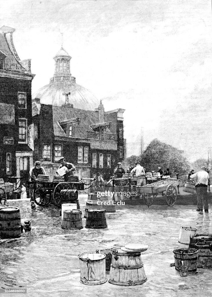 Milk market in Amsterdam