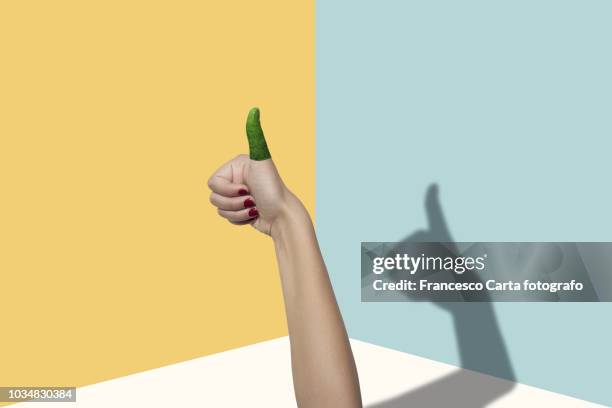 green thumb - main verte photos et images de collection