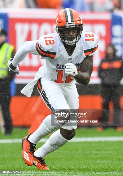 Wide receiver Josh Gordon of the Cleveland Browns runs a route in the second quarter of a game against the Pittsburgh Steelers on September 9, 2018...