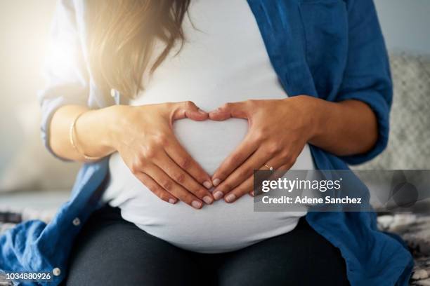 l'amore della mamma ti proteggerà - hand pregnant belly foto e immagini stock