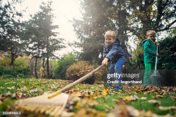 little boys having fun raking autumn leaves - domestic chores stock pictures, royalty-free photos & images