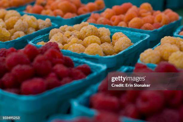 red, yellow, and orange raspberries! - fairfax virginia stock pictures, royalty-free photos & images