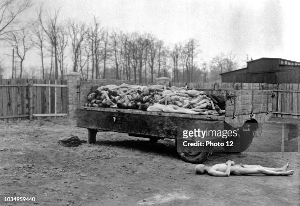 Buchenwald concentration camp - The Image shows dead bodies of those that were held captive as prisoners of war. Once the camps were liberated,...