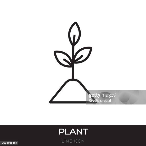 plant line icon - grass vector stock illustrations