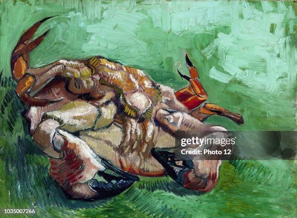 Painting titled "A Crab" by Vincent van Gogh post-Impressionist painter of Dutch origin. Dated 1888.