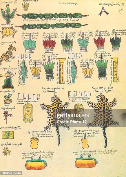 The Codex Mendoza, Aztec codex, created about twenty years after the Spanish conquest of Mexico with the intent that it be seen by Charles V, the...