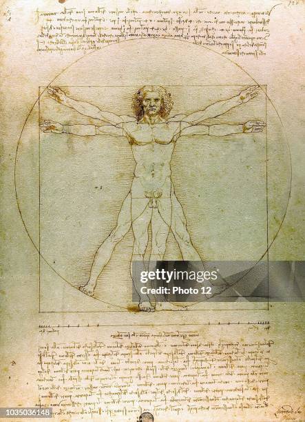 The Vitruvian Man. By Leonardo da Vinci. Dated 15th Century.