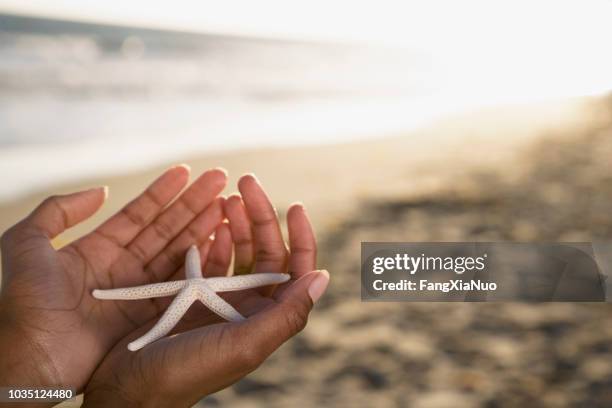 アフリカ女性持株ヒトデ - beach shells ストックフォトと画像