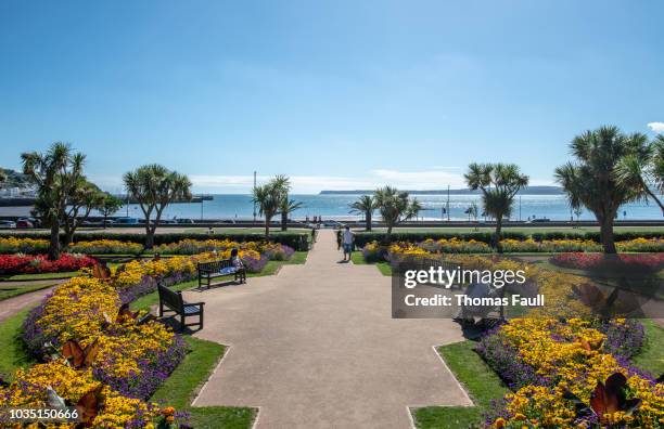 abbey park by the sea in torquay, devon - torquay stock pictures, royalty-free photos & images