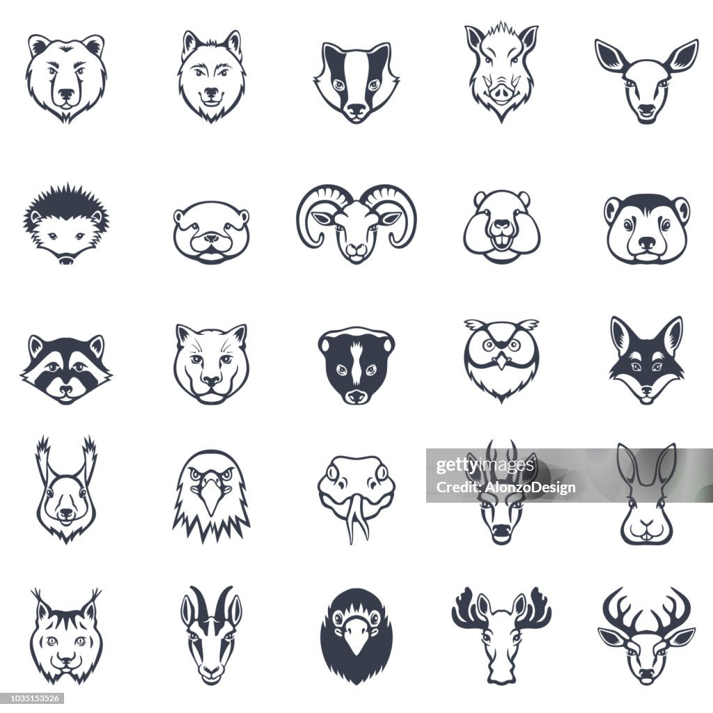 Set di icone Facce animali selvatici