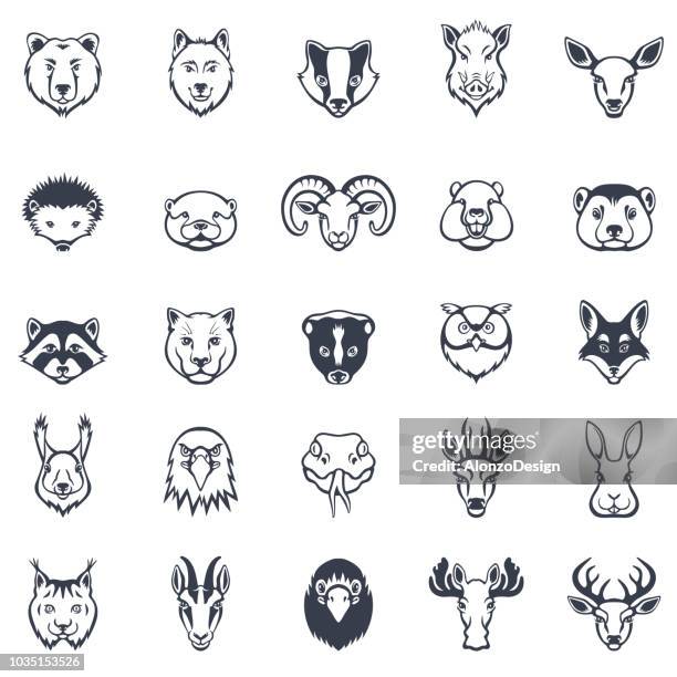 bildbanksillustrationer, clip art samt tecknat material och ikoner med vilda djur ansikten ikonuppsättning - animal head