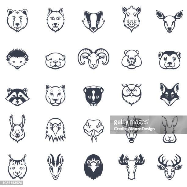 wild animal faces icon set - animal head stock illustrations