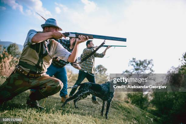 hunters in action preparing to shoot and dog pulling chain to help them - hobby bird of prey stock pictures, royalty-free photos & images