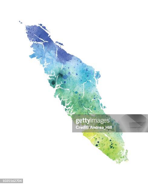 watercolor raster map of vancouver island - vancouver island stock illustrations