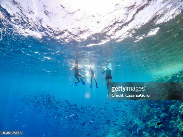 familjen njuta av snorkling i röda havet - snorkel bildbanksfoton och bilder
