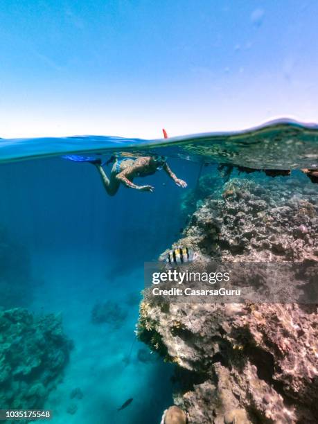 snorkeling femminile alla barriera corallina, mar rosso - snorkeling foto e immagini stock