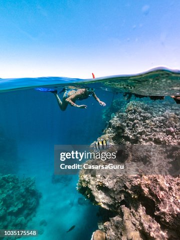 Woman Snorkeling At Coral Reef , Red Sea Woman Snorkeling At Coral Reef , Red Sea