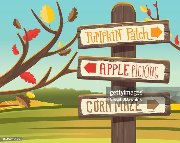 autumn pumpkin patch, apple picking and corn maze wooden signpost - apple orchard stock illustrations