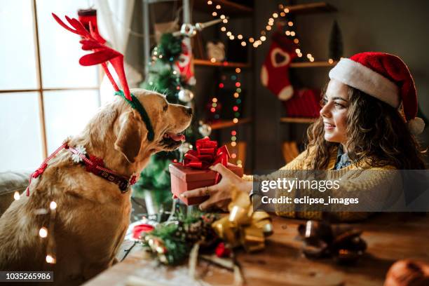 cadeau voor mijn pup - festieve stemming stockfoto's en -beelden