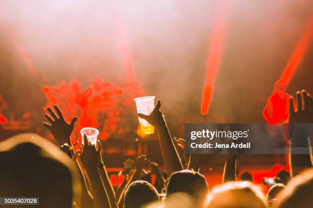 concert alcohol, alcohol concert, beer, concert beer - crowd cheering bar stock pictures, royalty-free photos & images