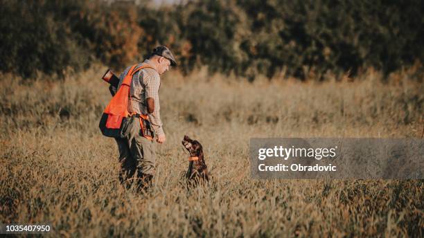 hunter with hunting dog during a hunt - quail bird stock pictures, royalty-free photos & images