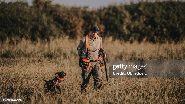 狩獵時獵犬獵人 - quail bird 個照片及圖片檔