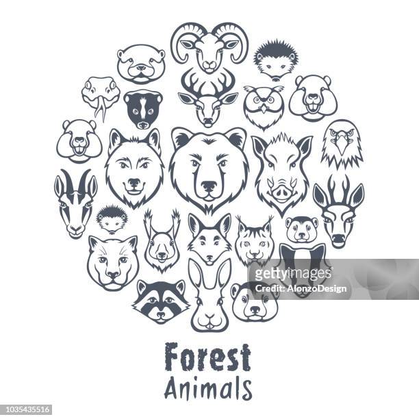 ilustraciones, imágenes clip art, dibujos animados e iconos de stock de collage de animales de bosque - castor
