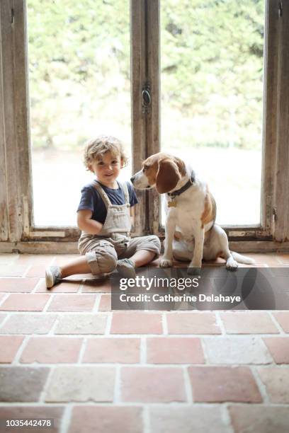 a 3 years old boy and his dog at home - beagle stockfoto's en -beelden