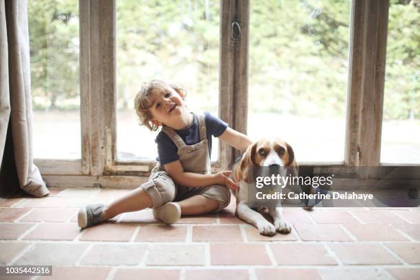 a 3 years old boy and his dog at home - 2 3 years foto e immagini stock