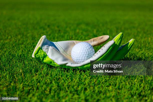 golf glove with golf ball - golfhandschuh stock-fotos und bilder