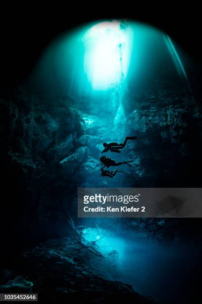 freediver cavern diving in the pit cavern, tulum, quintana roo, mexico - free diving stock pictures, royalty-free photos & images