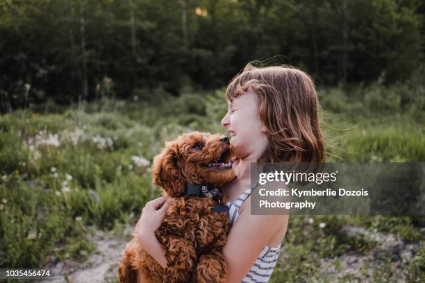 girl laughing at puppy's kisses - girls licking girls stock pictures, royalty-free photos & images