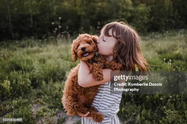 puppy turning away from girl's kisses - dog kissing girl stock-fotos und bilder