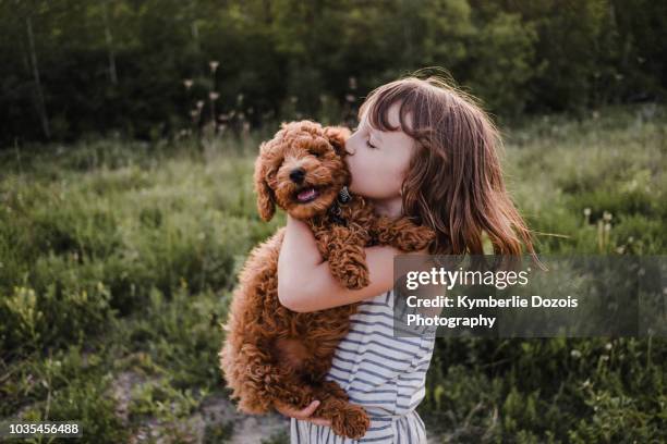 puppy turning away from girl's kisses - cuddling animals stock-fotos und bilder