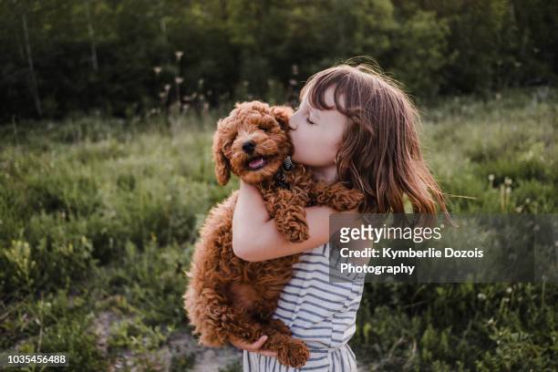 puppy turning away from girl's kisses - hugging animals foto e immagini stock