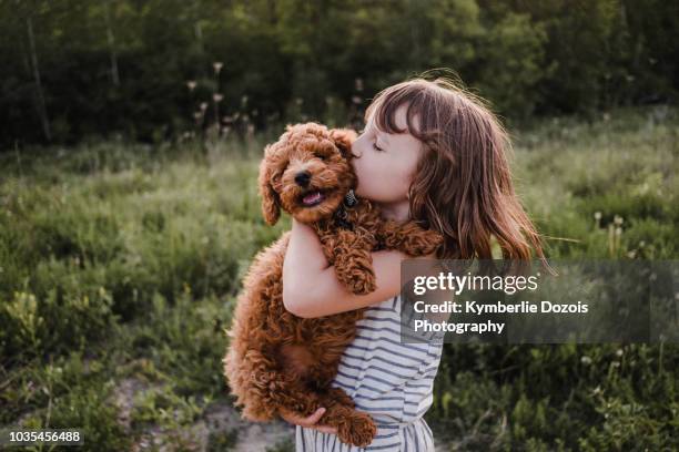 puppy turning away from girl's kisses - animal hug ストックフォトと画像