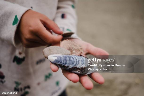 Shell Using Hand Lesn 1,095 Hand Holding Sea Shells Stock Photos, High-Res Pictures, and ...